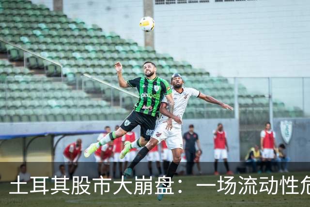 土耳其股市大崩盘：一场流动性危机的“黑天鹅”之舞